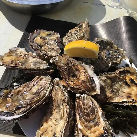 Le Penty De Lesquiffinec Crozon