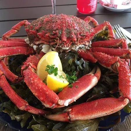 Le Penty de Lesquiffinec * Crozon